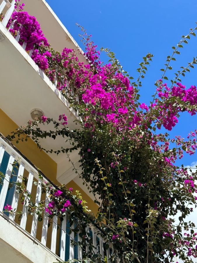 B&B Mi Ma Bo, Sal Rei, Boa Vista, Cape Verde, Free Wi-Fi Exterior photo